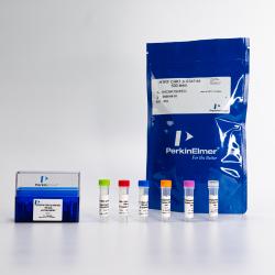 HTRF Human/Mouse Phospho-CHK1 Ser345 Detection Kit 